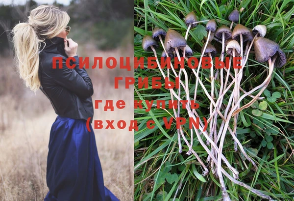 крисы Алексин