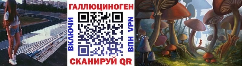 kraken tor  Артём  shop Telegram  Псилоцибиновые грибы Psilocybine cubensis 